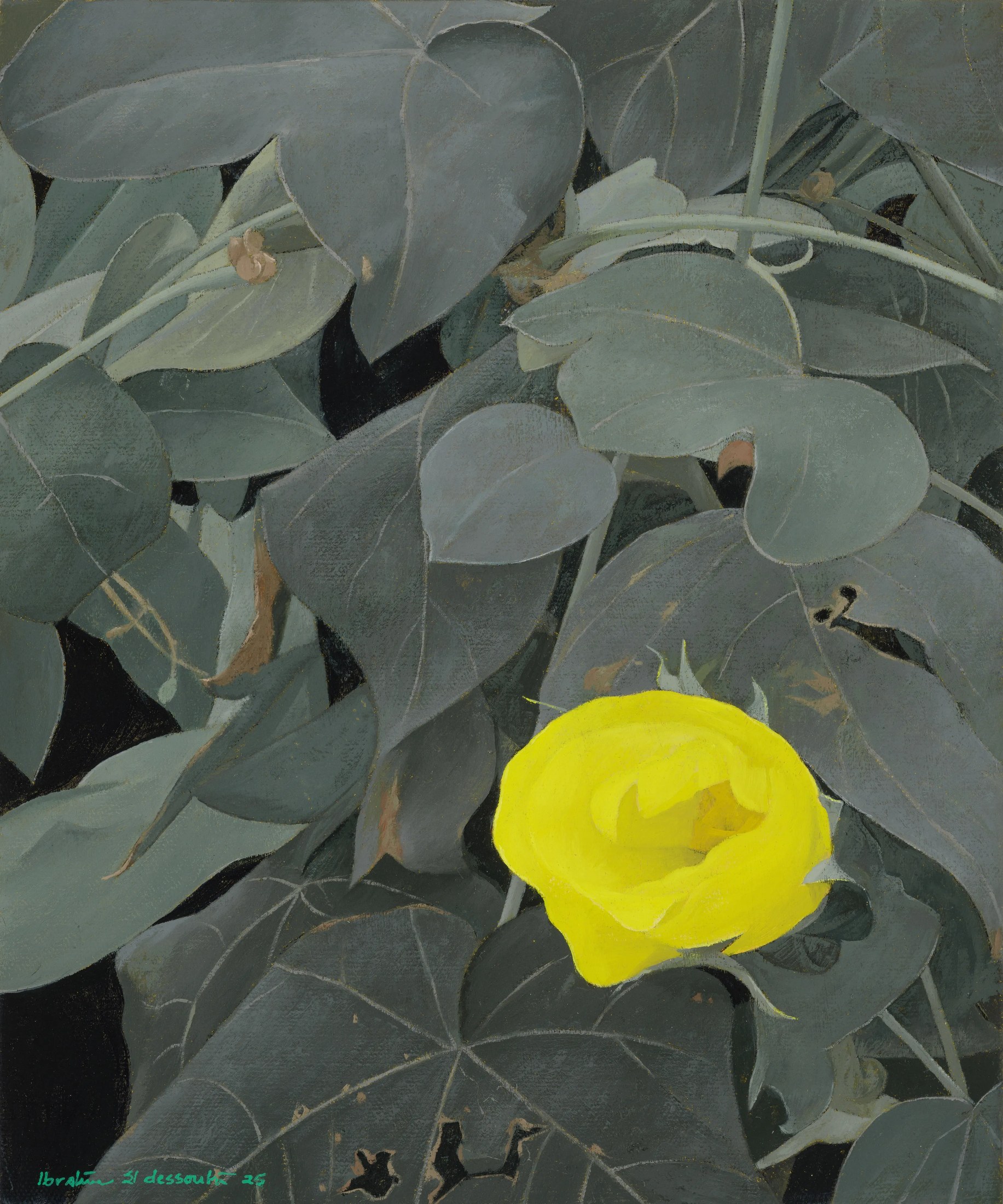The Cotton Flower 1, 2025 — Oil on canvas, 30 × 25 cm.