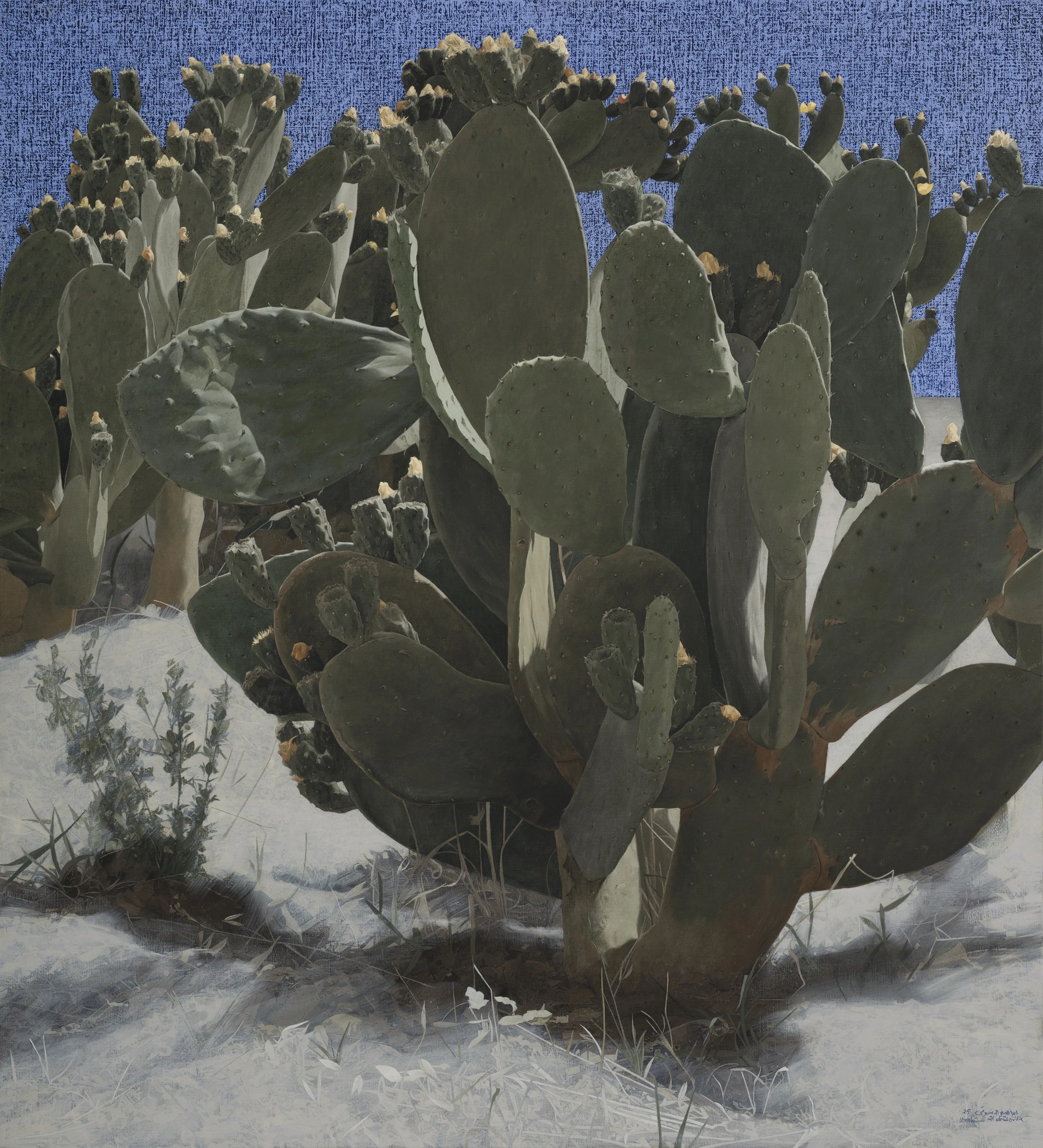 Cactus 5, 2025 — Oil and oil bars on canvas, 110 × 100 cm.