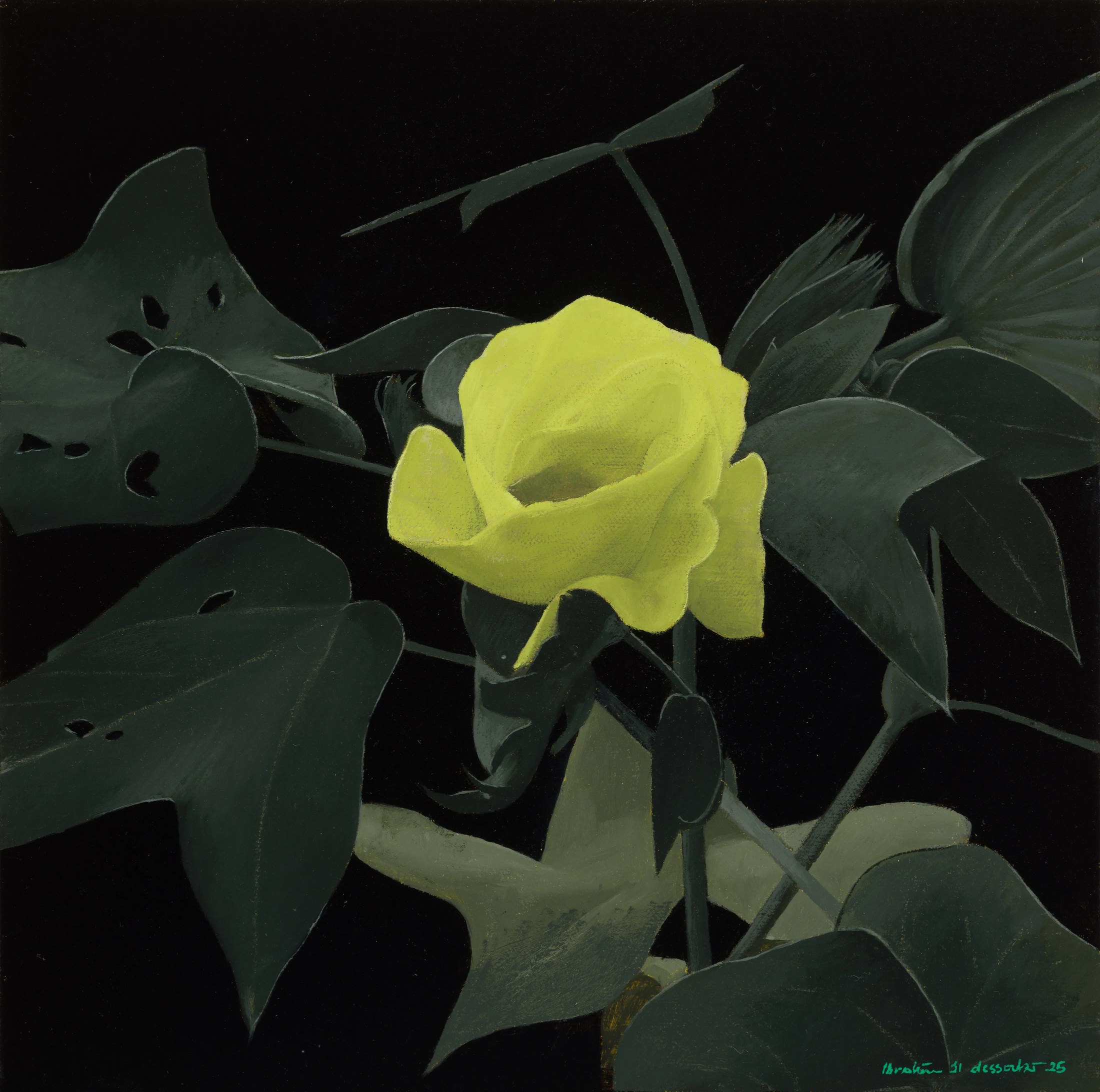The Cotton Flower 3, 2025 — Oil on canvas, 30 × 30 cm.