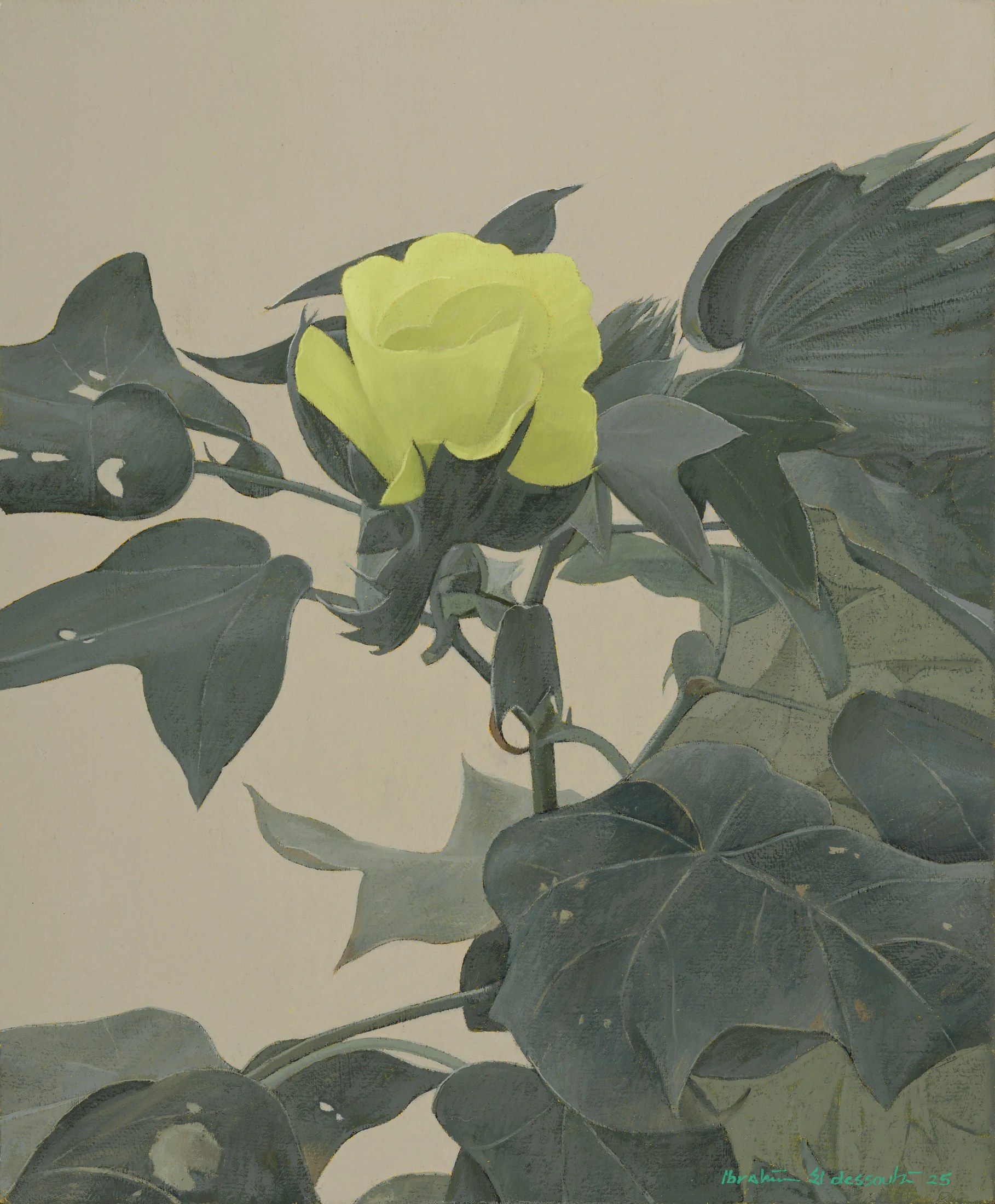 The Cotton Flower 5, 2025 — Oil on canvas, 30 × 25 cm.