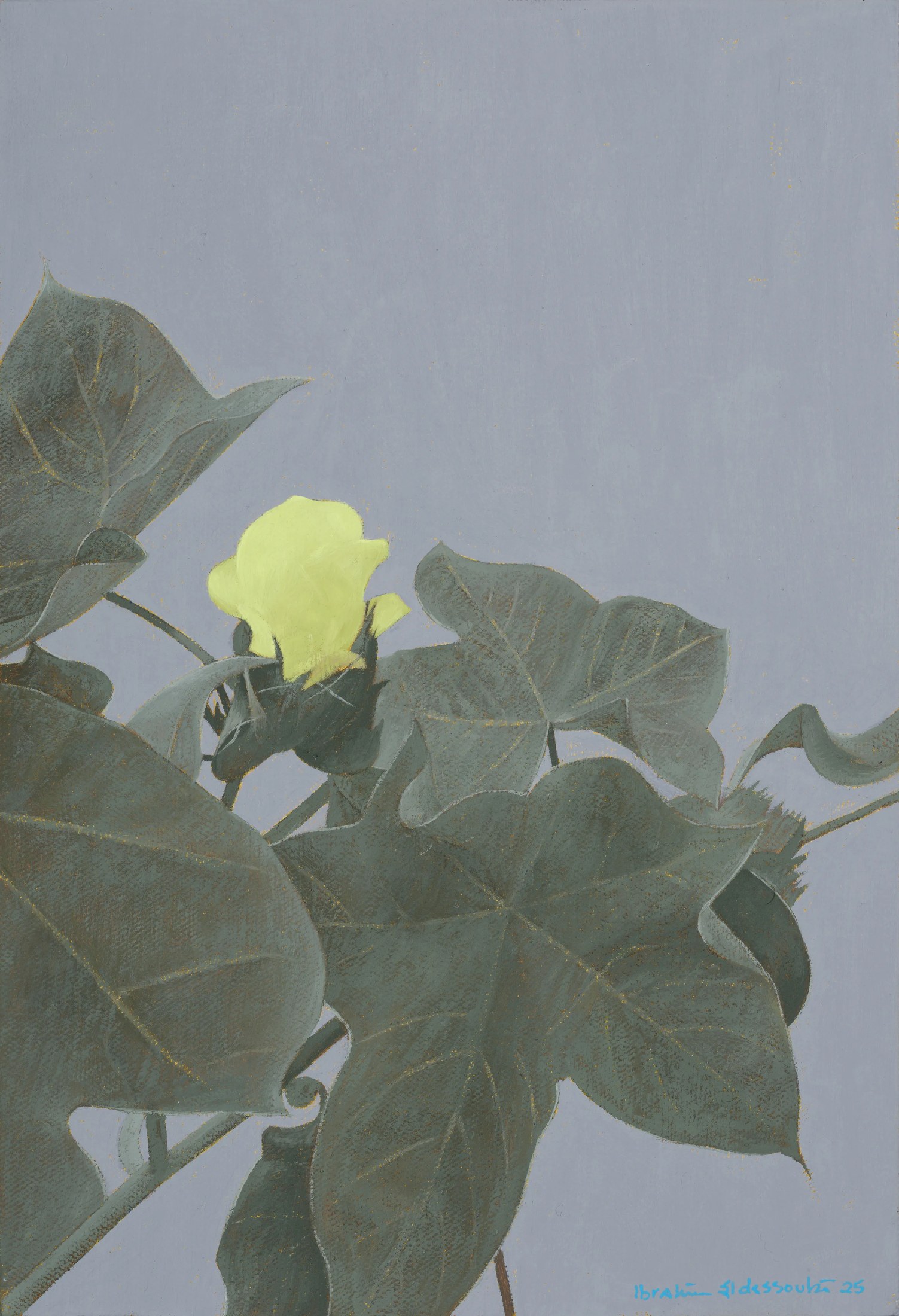 The Cotton Flower 7, 2025 — Oil on canvas, 30 × 20.5 cm.