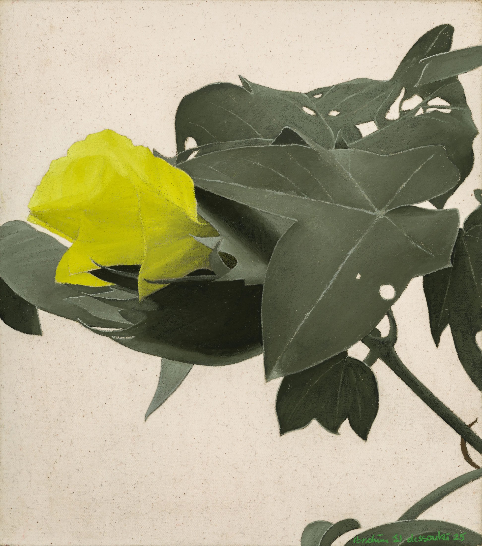 The Cotton Flower 13, 2025 — Oil on clear primed cotton, 30 × 26.5 cm.